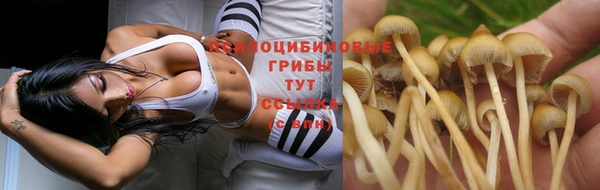 стафф Алексеевка