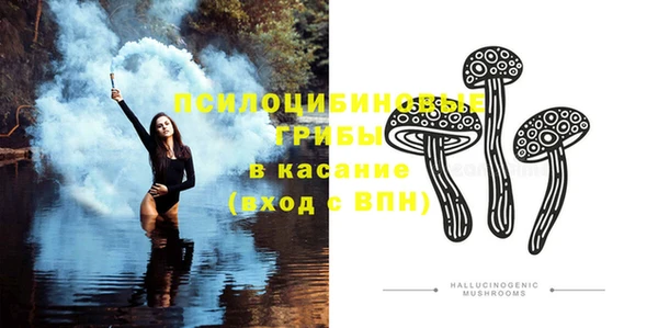 стафф Алексеевка