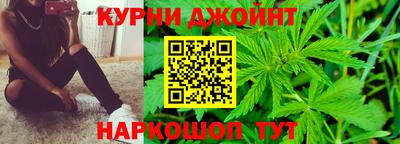 МДПВ Дубна