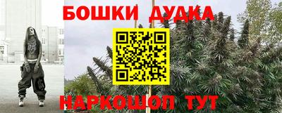 молекула духа Донецк
