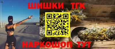 МДПВ Дубна