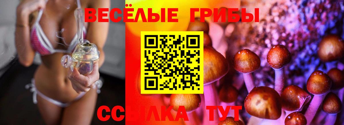 Галлюциногенные грибы мицелий  наркота  Крымск  Вход с VPN 