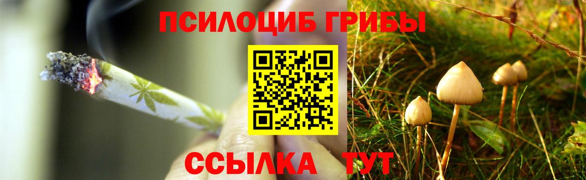 Галлюциногенные грибы Magic Shrooms Крымск